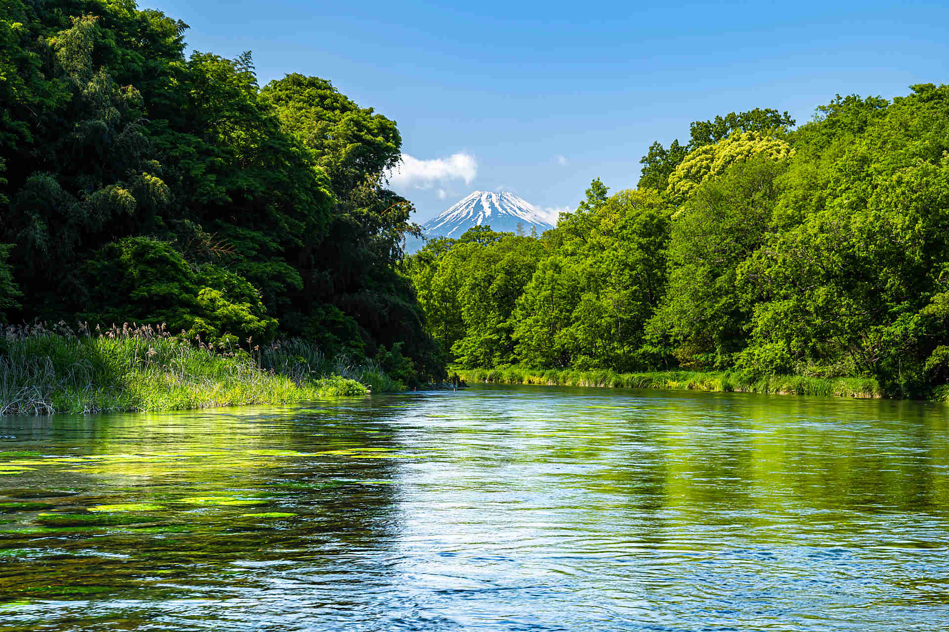 水のイメージ画像